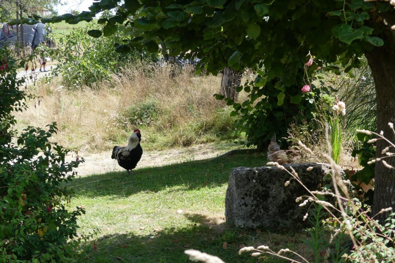 Maison Du Cheval Bed & Breakfast Chalais  Exterior photo